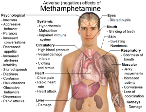 Effects_of_metamphetamine